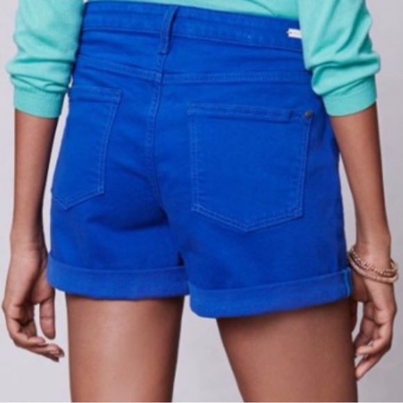 ANTHROPOLOGIE Pilcro Stet Blue Denim Shorts - Picture 2 of 5